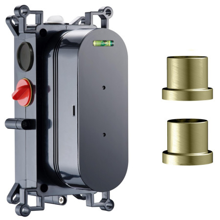 Scudo Concealed Two Outlet Shower Valve with Brushed Brass Plate Concealed Body
