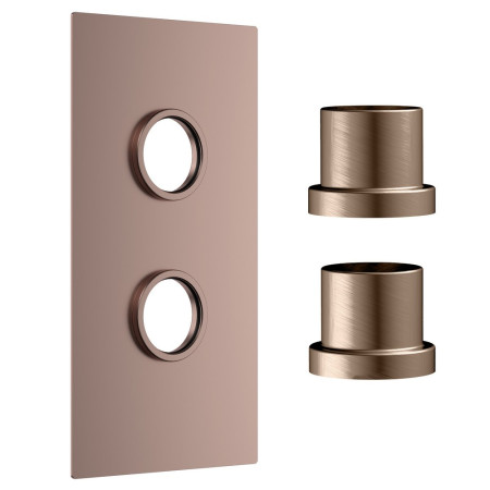 Scudo Concealed Two Outlet Shower Valve with Brushed Bronze Plate