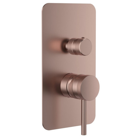 Scudo Core Concealed Manual Dual Outlet Shower Valve in Brushed Bronze