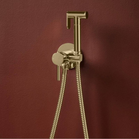 DOUCHE011 Scudo Douche Handset with Flexi Hose and Outlet Elbow in Brushed Brass Lifestyle