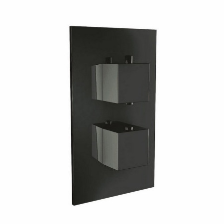Scudo Dual Squared Handle Concealed Shower Valve in Black