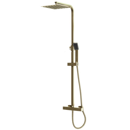 Scudo Elliot Square Brushed Brass Rigid Riser Shower