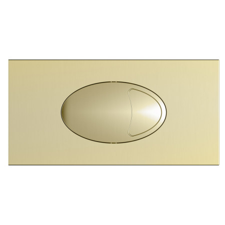 Scudo Large Brushed Brass Dual Flush Plate and Access Panel