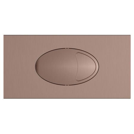 Scudo Large Brushed Bronze Dual Flush Plate and Access Panel