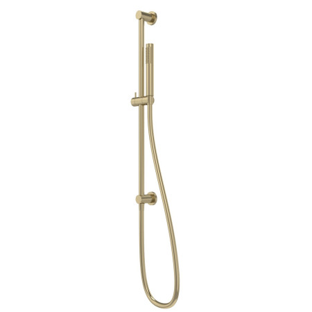 Tavistock Cohort Brushed Brass Shower Riser Rail and Handset