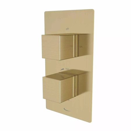 Tavistock Index Concealed Dual Function Brushed Brass Shower Valve