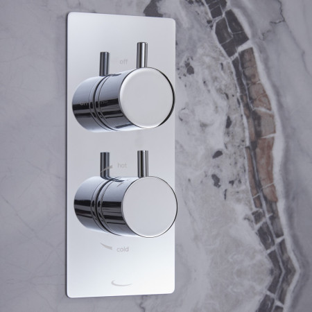 SMT1611 Tavistock Merit Dual Function Diverter Concealed Shower System Chrome (6)