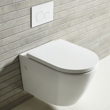 WH250S Tavistock Orbit Wall Hung WC (3)