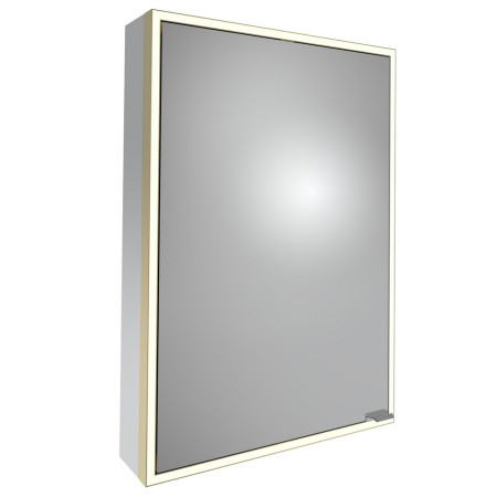 Tavistock Portrait 700 x 500mm Single Door Illuminated Mirror Cabinet in Brushed Brass