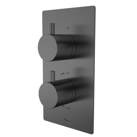 Tavistock Quantum Gunmetal Dual Function Concealed Shower Valve