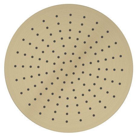 Tavistock Round Brushed Brass 250mm Shower Head