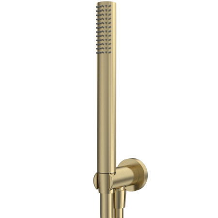 Tavistock Round Brushed Brass Shower Handset with Elbow and Hose