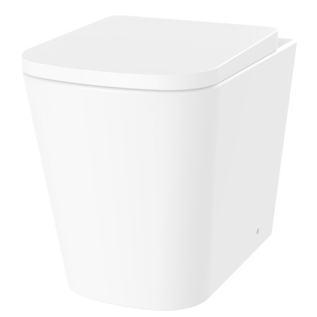 Vantara Lander Rimless Back to Wall WC and Seat