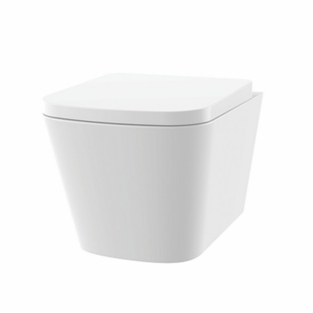 Vantara Lander Rimless Wall Hung WC and Seat