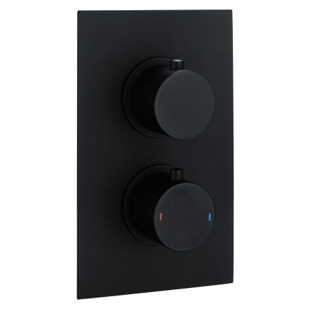 Vantara Stellar Concealed Round Dual Outlet Black Shower Valve