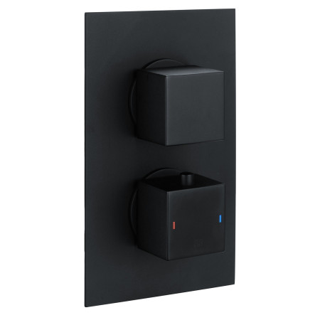 Vantara Stellar Concealed Square Dual Outlet Black Shower Valve